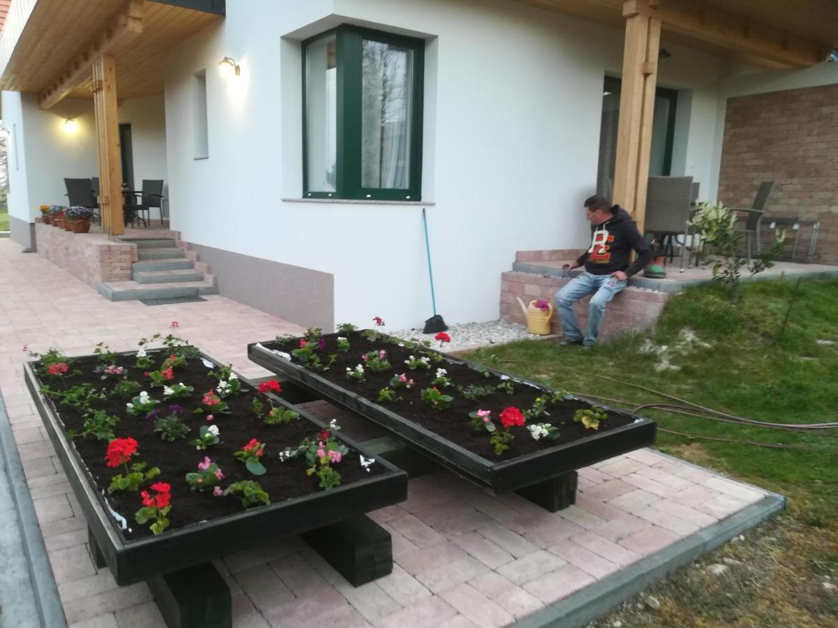 Apartament Edina Vendeghaz-gyenesdias